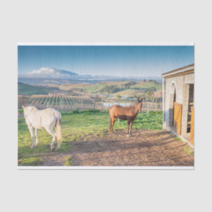 Seda Papel de tejidos con imagen de caballos árabes