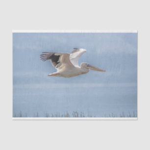 Seda Papel de tejidos con imagen de Pelican en vuelo