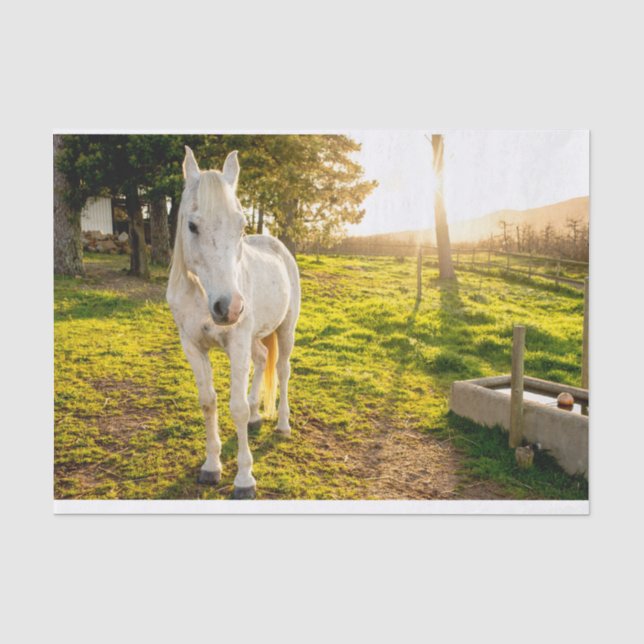 Seda Papel de tejidos con imagen del caballo árabe blan (Anverso)