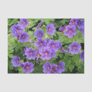 Seda Papel de tejidos Cranesbill Geranium