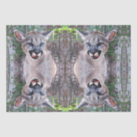 Papel de tejidos Cubo Cougar / Papel de descomposi