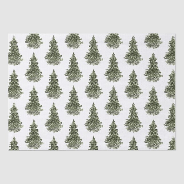 Seda Papel de tejidos de árbol de hueso (Anverso)