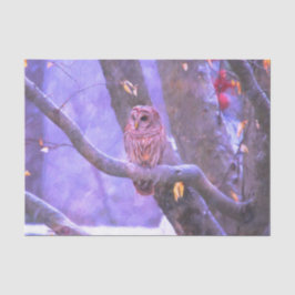 Seda Papel de tejidos de búho de grano de invierno