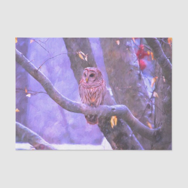 Seda Papel de tejidos de búho de grano de invierno (Anverso)