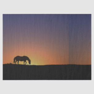 Seda Papel de tejidos de caballo