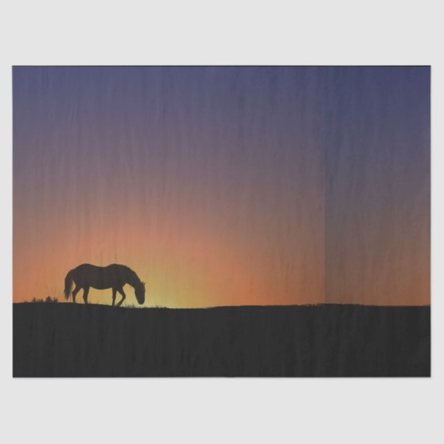 Seda Papel de tejidos de caballo (Anverso)