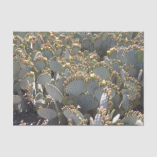 Seda Papel de tejidos de Cacti