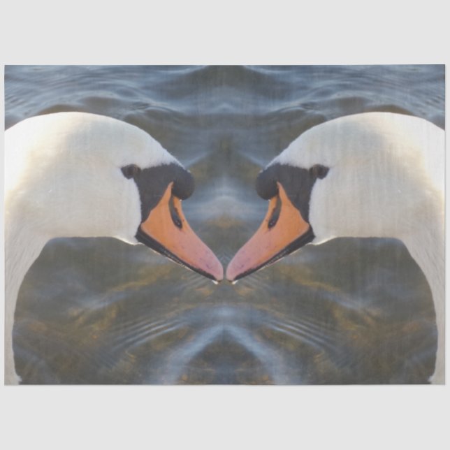Seda Papel de tejidos de cisnes blancos (Anverso)