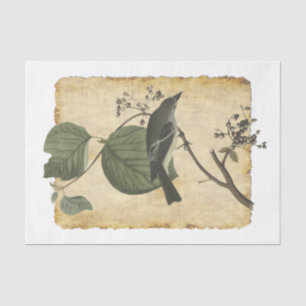 Seda Papel de tejidos de color para las aves 33 de desc