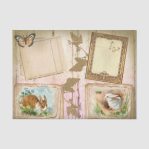 Seda Papel de tejidos de conejos de ruedas libres