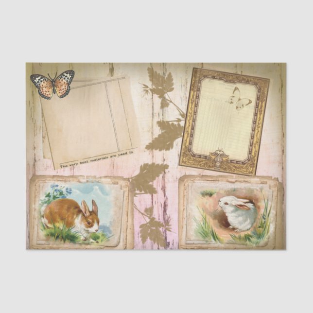 Seda Papel de tejidos de conejos de ruedas libres (Anverso)