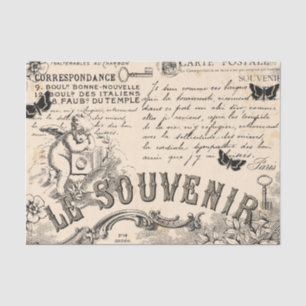 Seda Papel de tejidos de descomposición de souvenir - V