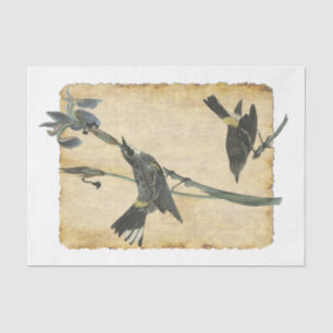 Seda Papel de tejidos de descomposición para aves 32