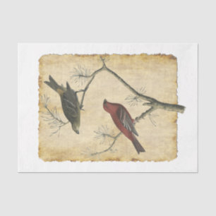 Seda Papel de tejidos de descomposición para aves 34