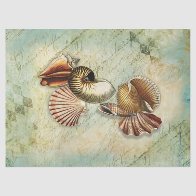 Seda Papel de tejidos de desconchado de cascos azucarad (Anverso)