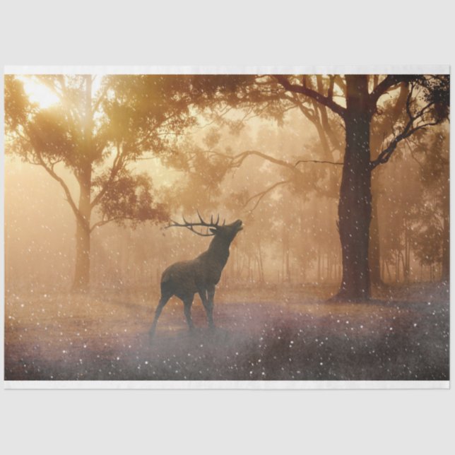 Seda Papel de tejidos de desunión de cierres forestales (Anverso)