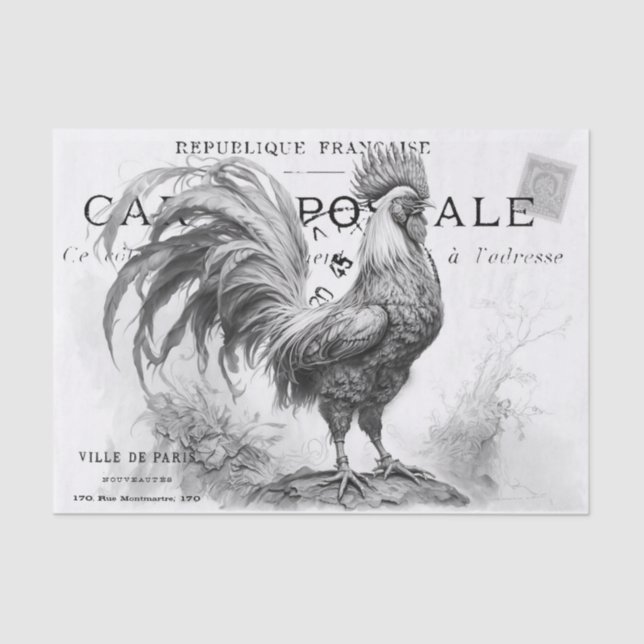 Seda Papel de tejidos de escotilla de pollo (Anverso)