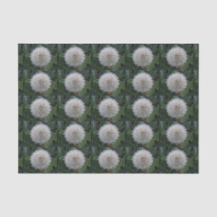 Seda Papel de tejidos de flores de Dandelion de semilla