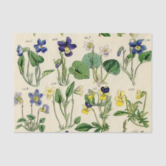 Seda Papel de tejidos de flores de época violeta botáni (Anverso)