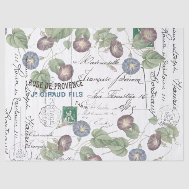 Seda Papel de tejidos de flores de gloria de la época f (Anverso)