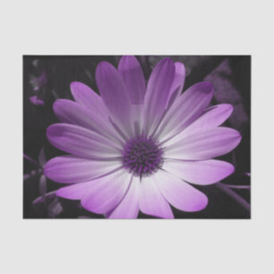 Seda Papel de tejidos de flores moradas