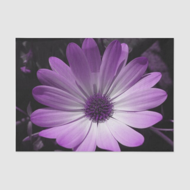 Seda Papel de tejidos de flores moradas (Anverso)