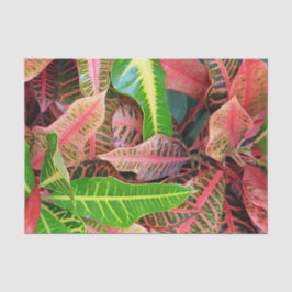 Seda Papel de tejidos de hojas