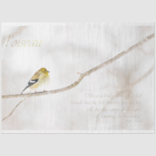Seda Papel de tejidos de la desconexión de Goldfinch