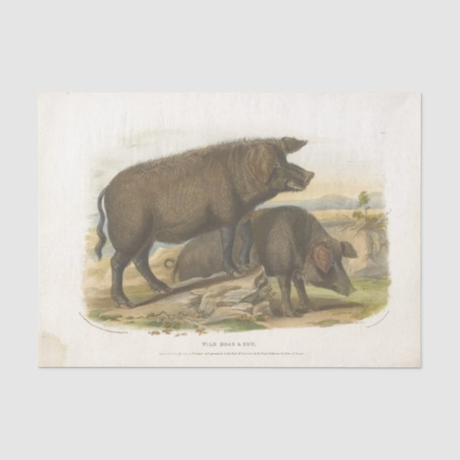 Seda Papel de tejidos de la granja de animales de la ép (Anverso)