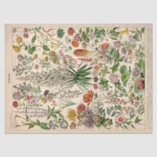 Seda Papel de tejidos de las flores botánicas francesas