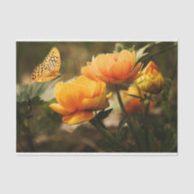 Papel de tejidos de mariposa de flor de jardín