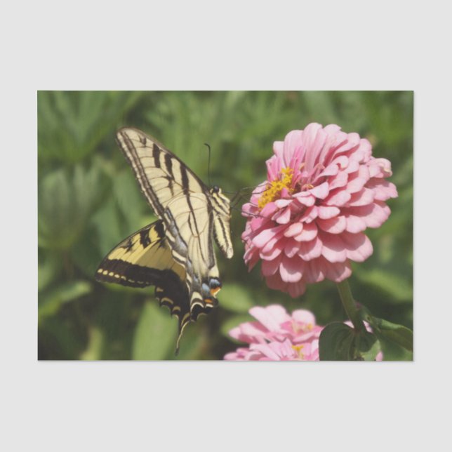 Seda Papel de tejidos de mariposa y flor rosa (Anverso)