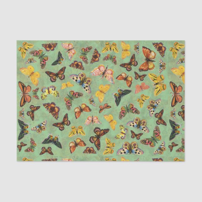 Seda Papel de tejidos de mariposas (Anverso)