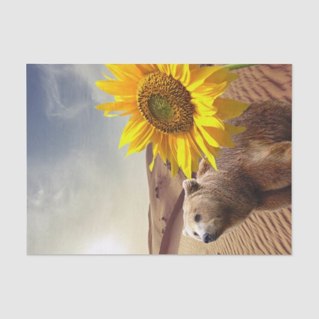 Seda Papel de tejidos de oso floral de girasol (Anverso)