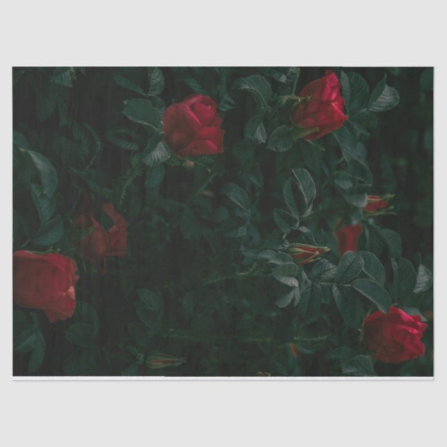 Seda Papel de tejidos de rosas rojas Desnudar Giftwrapi (Anverso)