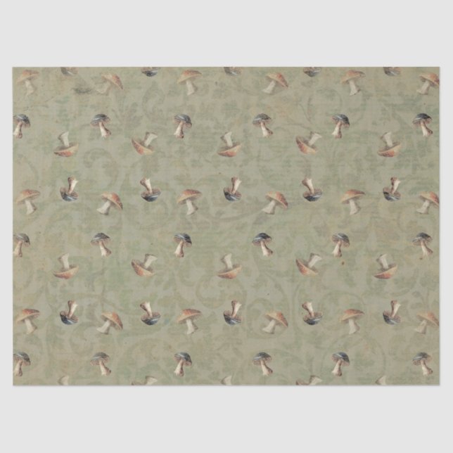 Seda Papel de tejidos de toadstools de la tierra (Anverso)