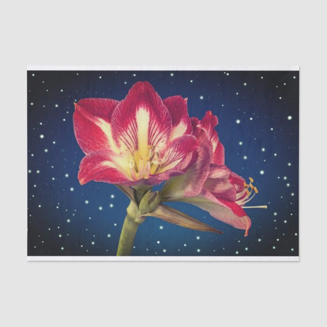 Seda Papel de tejidos florales (Anverso)