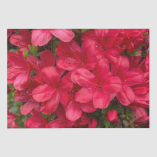 Seda Papel de tejidos florales frescos