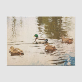 Seda Papel de tejidos Mallard Ducks