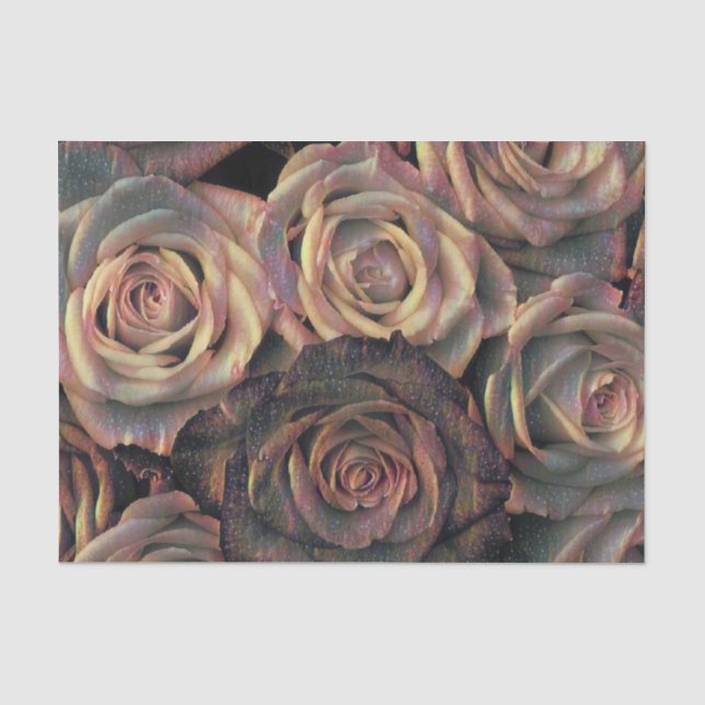 Seda Papel de tejidos marrón, naranja, rosas de oro (Anverso)