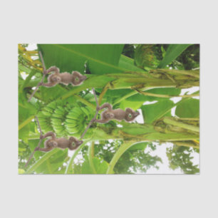 Seda Papel de tejidos Mono Rope Banana Árbol