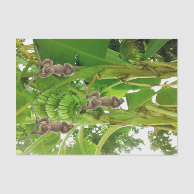 Seda Papel de tejidos Mono Rope Banana Árbol (Anverso)
