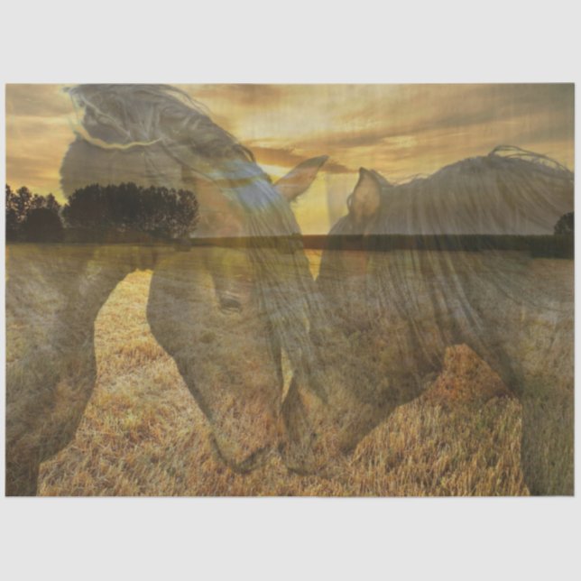 Seda Papel de tejidos para caballos (Anverso)