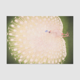 Seda Papel de tejidos PEACOCK JAPONÉS