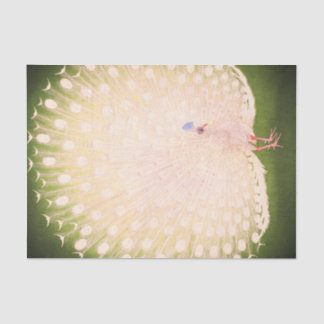 Seda Papel de tejidos PEACOCK JAPONÉS