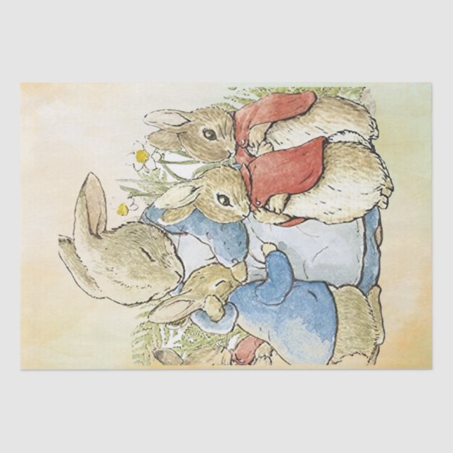 Seda Papel de tejidos Peter Rabbit 8 (Anverso)