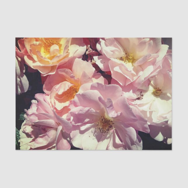 Seda Papel de tejidos Rosa de verano (Anverso)