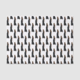 Seda Papel de tejidos zodiaco de Capricornio