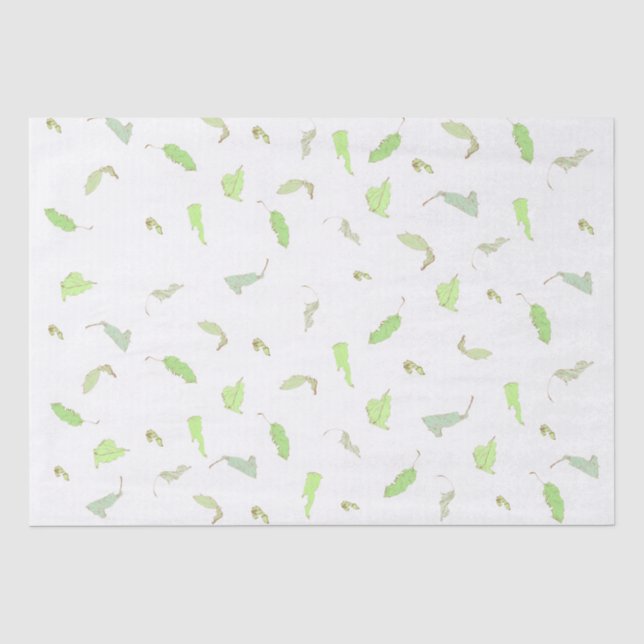 Seda Papel de tono (Anverso)