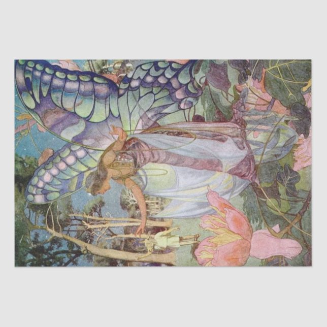 Seda Papel de tono (Anverso)